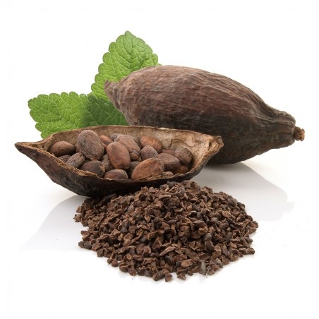 Cacao criollo Nibs ECO granel