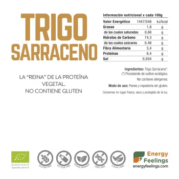 Comprar trigo sarraceno ECO en grano a GRANEL. Sin gluten. Superalimento