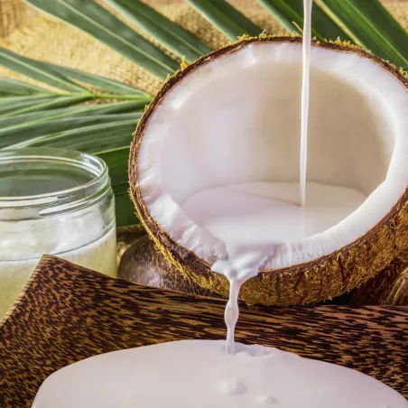 Comprar leche de coco deshidratada ecológica