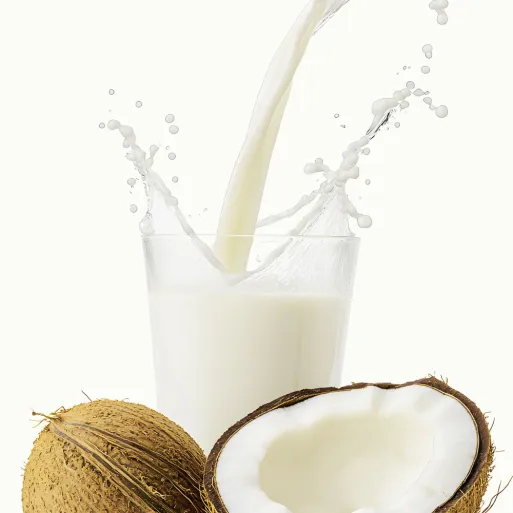 Comprar leche de coco deshidratada ecológica a granel Comprar leche de coco deshidratada ecológica a granel
