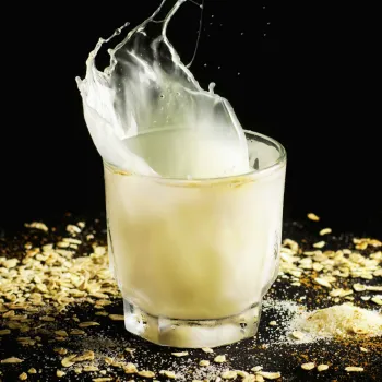 Venta de preparado instantáneo para hacer leche de Avena, ECO, sin gluten, de Nuveg Venta de preparado instantáneo para hacer leche de Avena, ECO, sin gluten, de Nuveg