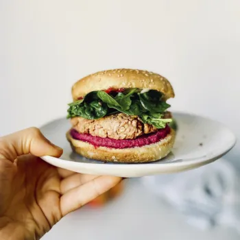 Comprar veggie burger Nuveg. Comprar hamburguesa vegana, carne vegana a base de proteína vegetal texturizada con verduras y espe