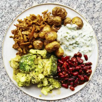 Comprar proteína vegana texturizada en tiras pequeñas