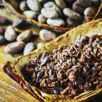 Comprar nibs de cacao ecológico a granel. Trozos de cacao para numerosas recetas