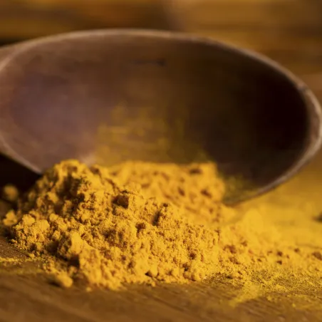 Comprar curry ecológico en polvo a granel.