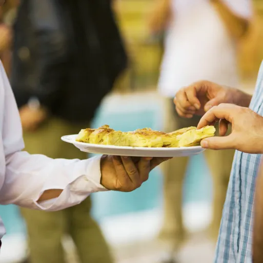 Comprar stevia ecológicafácil de disover