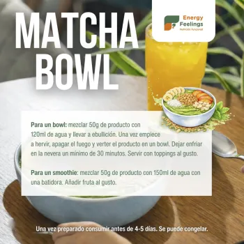 Comprar preparado de té matcha latte ecológico para hacer helado o yogur, de Energy Feelings