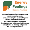 1_Energy Feelings